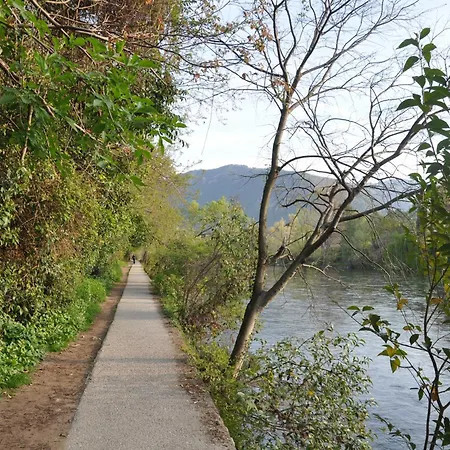 Bed & Breakfast Downtown