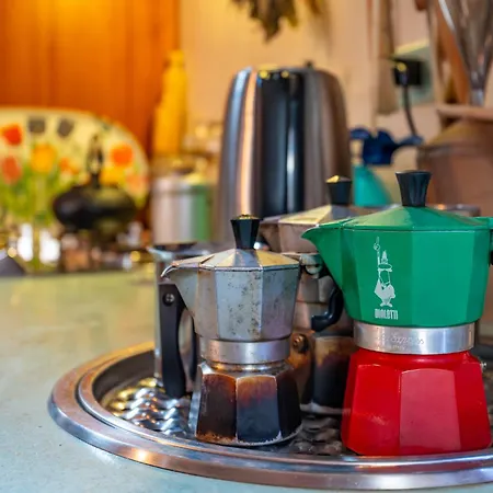 Downtown 住宿加早餐酒店