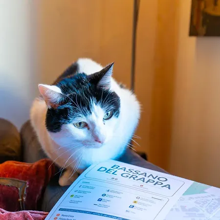 ベッド・アンド・ブレックファスト Downtown バッサーノ・デル・グラッパ