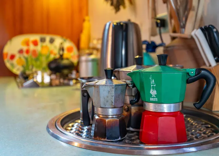 Downtown 住宿加早餐酒店