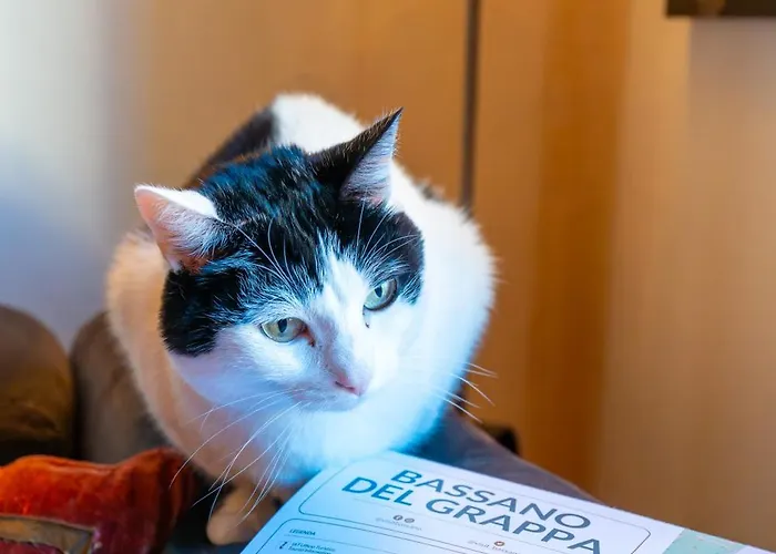 住宿加早餐酒店 Downtown 巴萨诺－德尔格拉帕