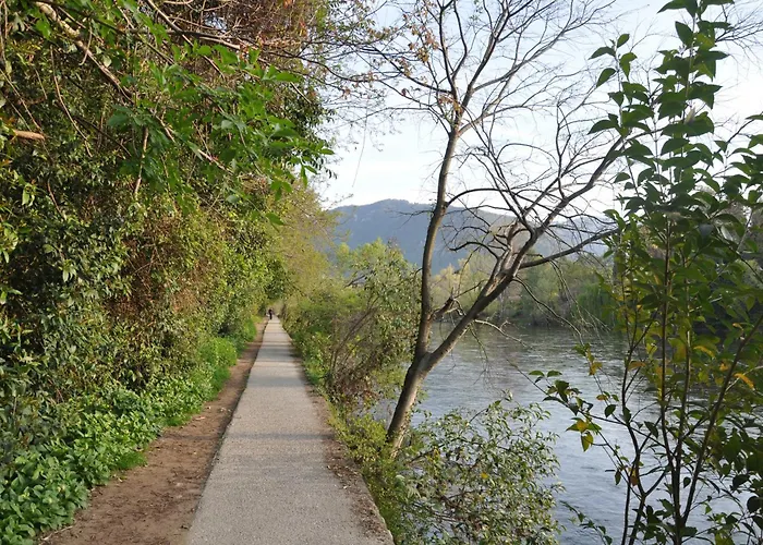 住宿加早餐酒店 Downtown